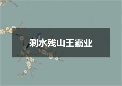剩水残山王霸业