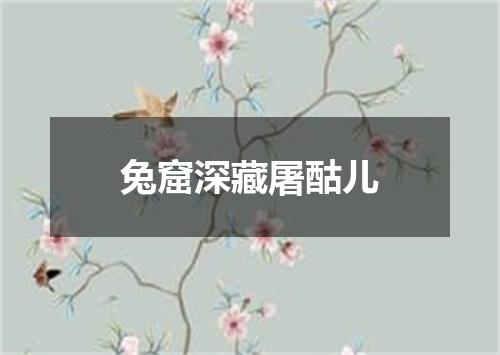 兔窟深藏屠酤儿