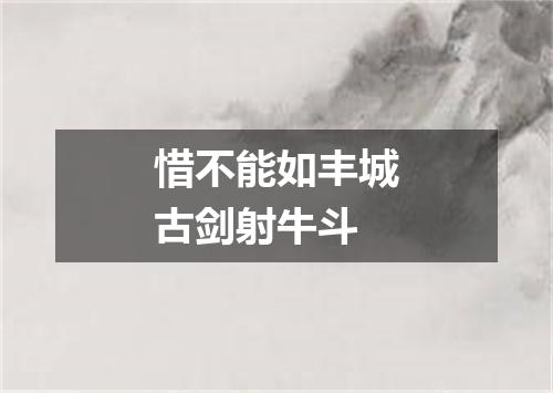 惜不能如丰城古剑射牛斗