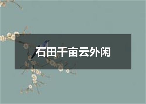 石田千亩云外闲