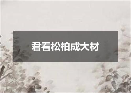 君看松柏成大材