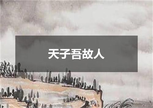天子吾故人