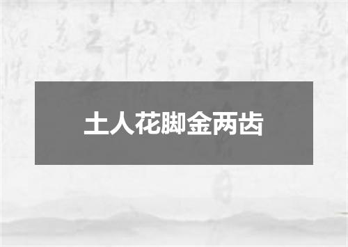 土人花脚金两齿