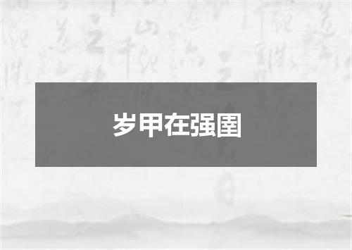 岁甲在强圉