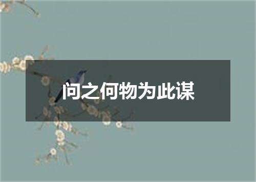 问之何物为此谋