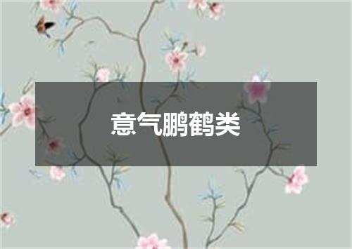 意气鹏鹤类