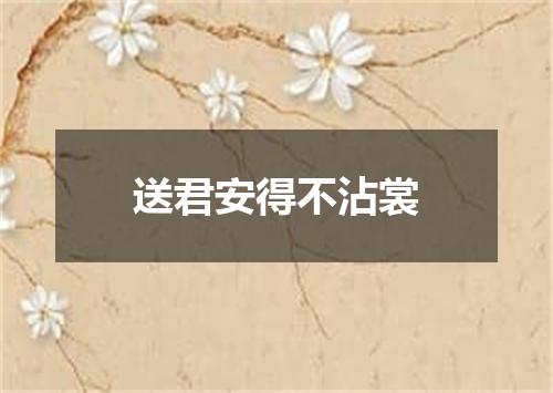 送君安得不沾裳