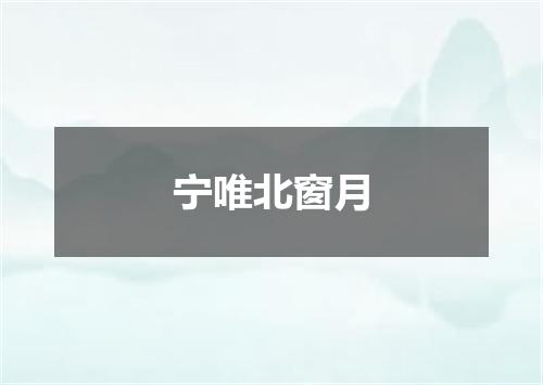 宁唯北窗月