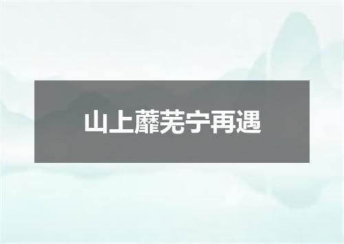 山上蘼芜宁再遇