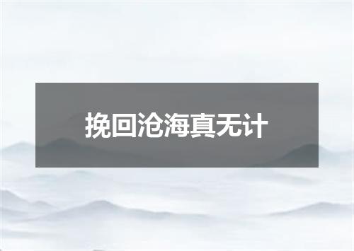 挽回沧海真无计