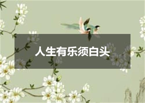 人生有乐须白头