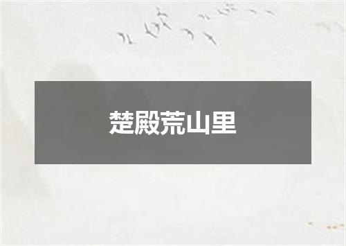 楚殿荒山里