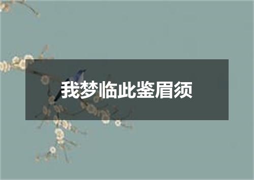 我梦临此鉴眉须