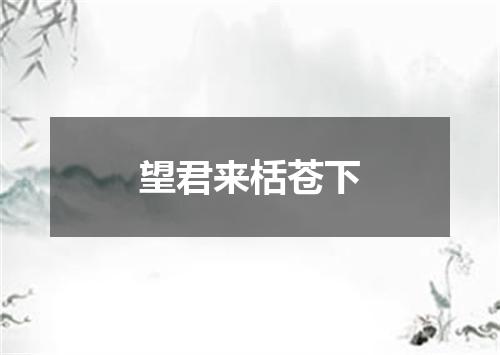 望君来栝苍下