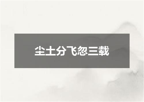 尘土分飞忽三载