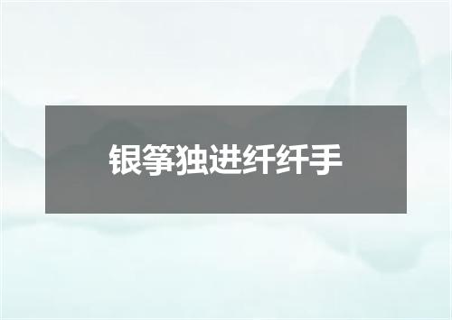 银筝独进纤纤手