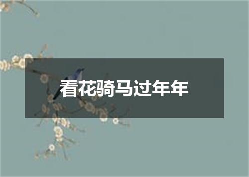 看花骑马过年年