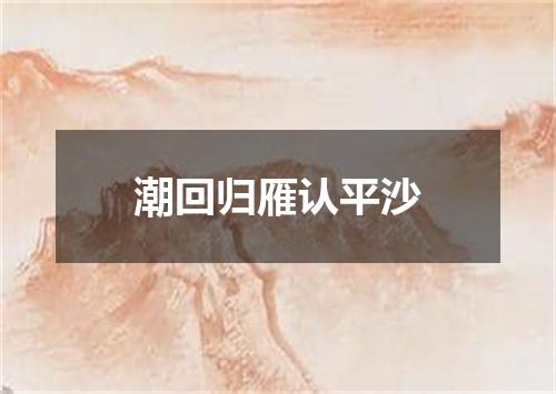潮回归雁认平沙