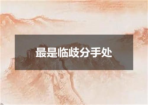 最是临歧分手处