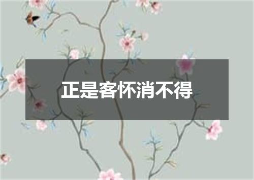 正是客怀消不得