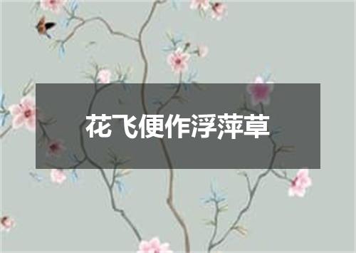 花飞便作浮萍草