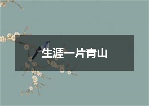 生涯一片青山
