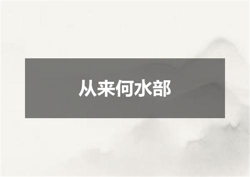 从来何水部