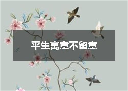 平生寓意不留意