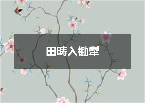 田畴入锄犁