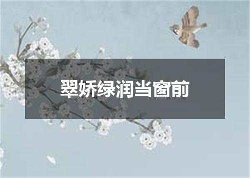 翠娇绿润当窗前