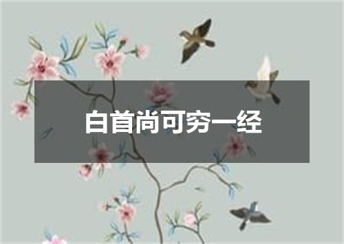 白首尚可穷一经
