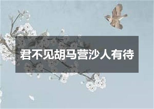 君不见胡马营沙人有待