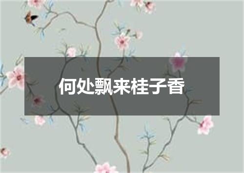 何处飘来桂子香