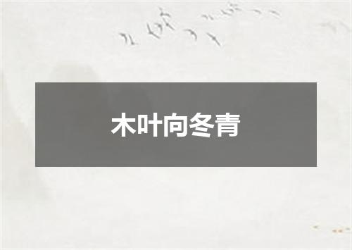 木叶向冬青