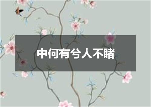 中何有兮人不睹