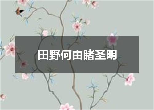 田野何由睹圣明