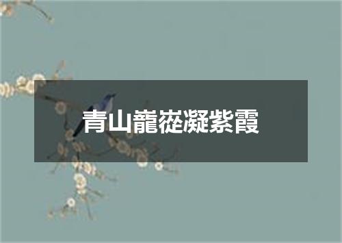 青山巃嵸凝紫霞