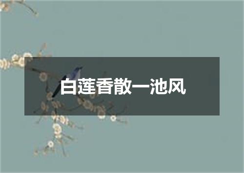 白莲香散一池风