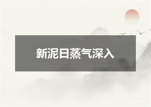 新泥日蒸气深入