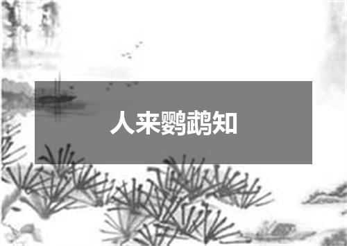 人来鹦鹉知