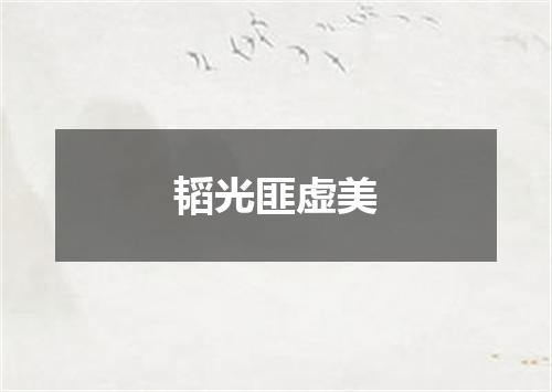 韬光匪虚美
