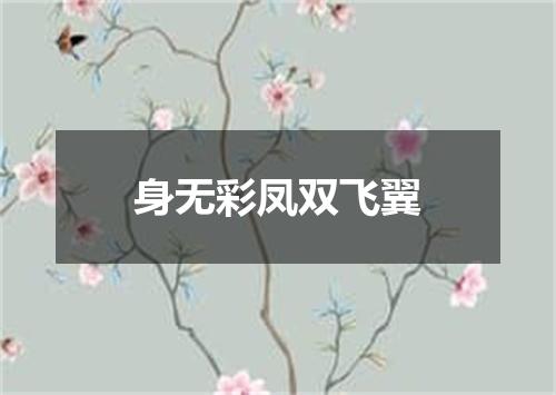 身无彩凤双飞翼