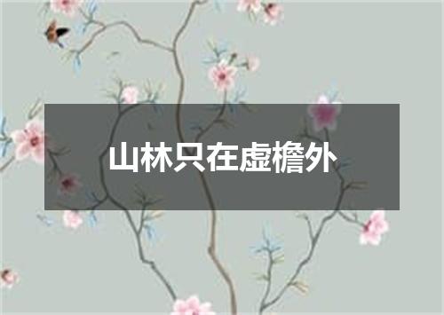 山林只在虚檐外