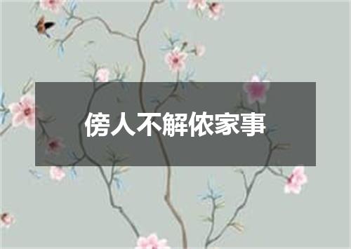 傍人不解侬家事