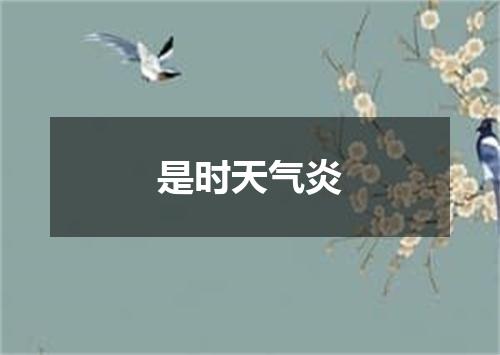 是时天气炎