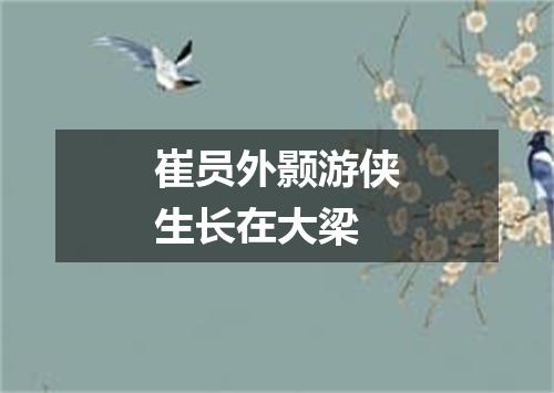 崔员外颢游侠生长在大梁