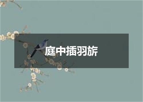 庭中插羽旂