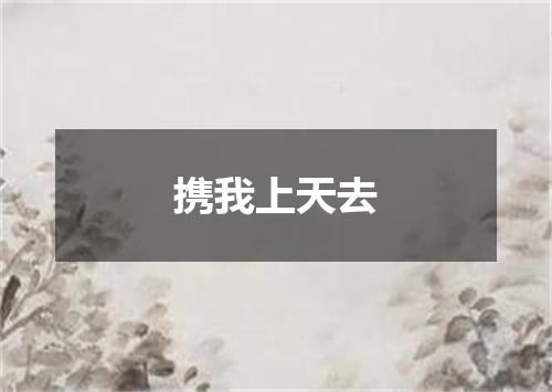 携我上天去