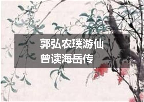 郭弘农璞游仙曾读海岳传
