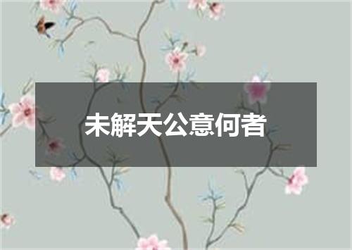 未解天公意何者